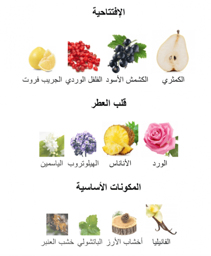 Sì Passione - سي باسيون