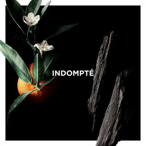 Indompte - اندومبتي