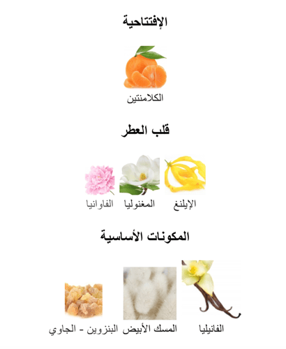 Signature + Musk - سيقنيتشر مع مجموعة الطيب 6