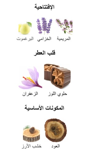 Haltane De Marly - هالتان دي مارلي