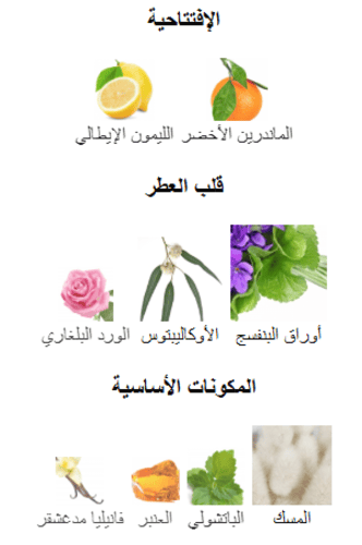 La Tosca Xerjoff -عطر كازوماراتي لاتوسكا من زيرجوف