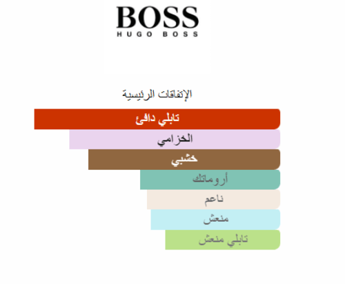Boss The Scent Elixir For Him Hugo Boss