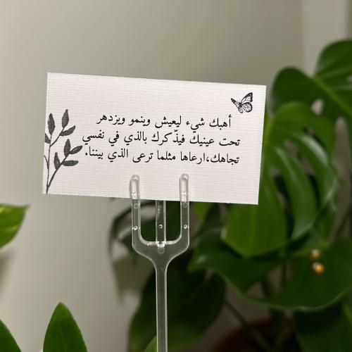 كرت( أهبك شيء..)