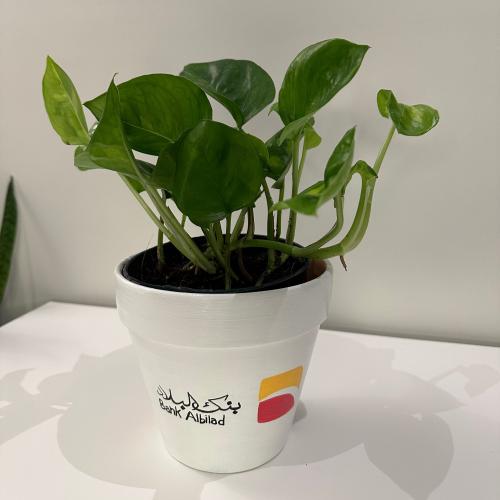 رسم حسب الطلب