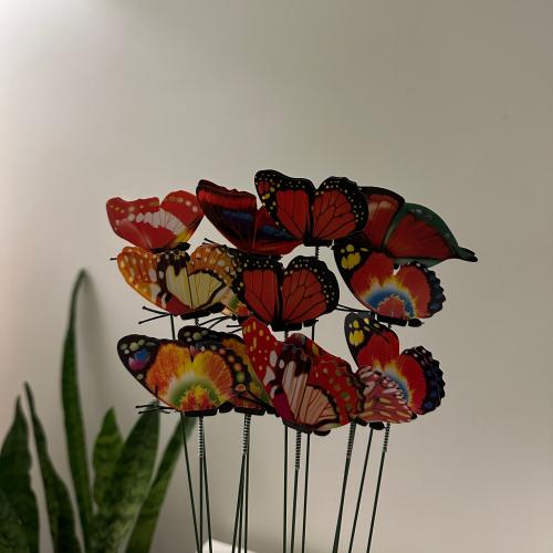 فراشة درجات الاحمر