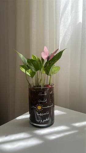 بوتس حبك انتِ شمس ☀️