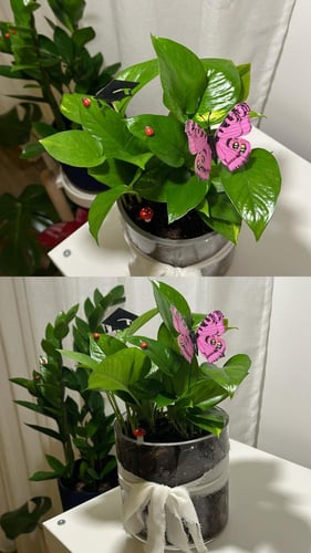 بوتس حجم كبير