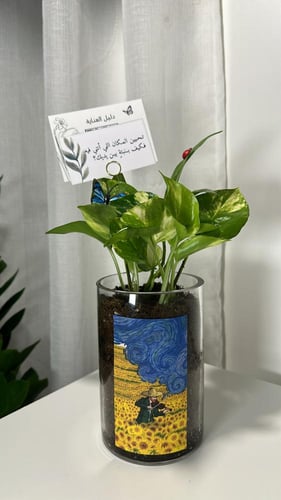 بوتس بأضافة صوره حسب طلبك(جاهزه للاهداء)