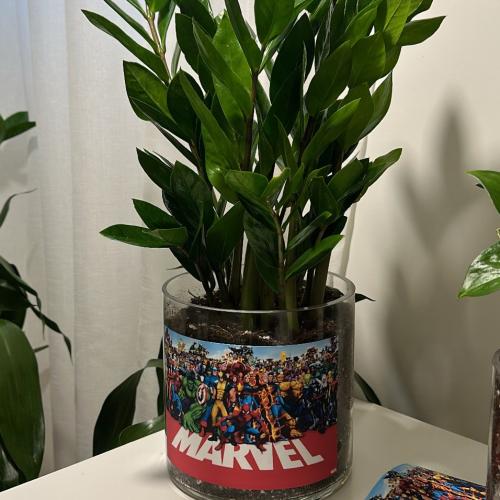 زاميا بصورة من اختيارك