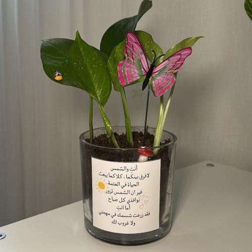 بوتس حجم صغير ( اضافة صورة او عبارة حسب طلبك)