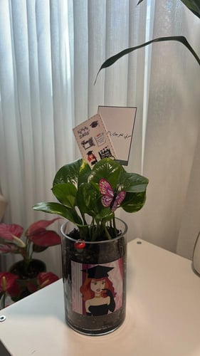 بوتس تخرج ‍2026