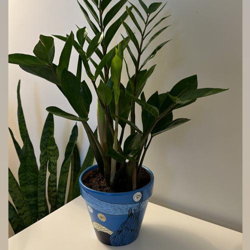 زاميا (رسمة فان جوخ)