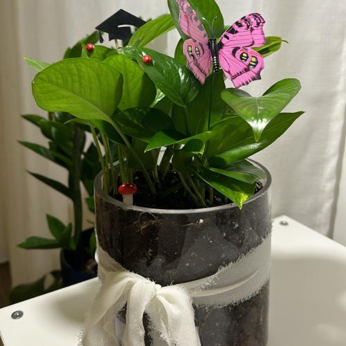 بوتس حجم كبير