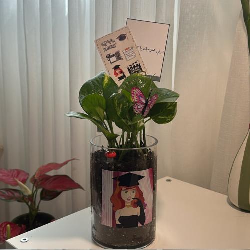 بوتس تخرج ‍2026