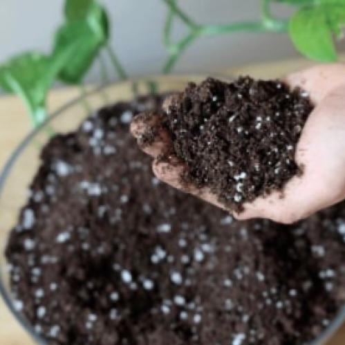 Indoor plant soil