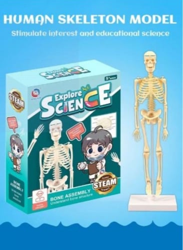 لعبة العلم والمعرفة عن اجهزة الجسم للأطفال نموذج ا...