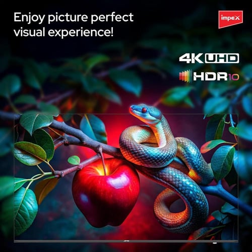 شاشة ذكية امبكس فيستا 65 بوصه كيوليد نظام تشغيل وي...