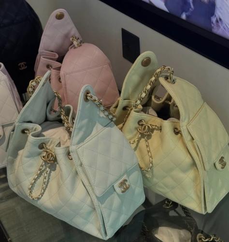Chanel bag L