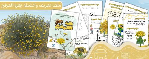 ملف الزهرة الوطنية لدولة الكويت ( زهرة العرفج)