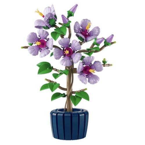 Hibiscus
