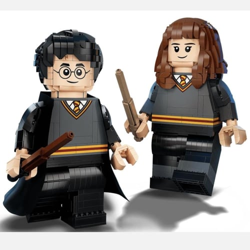 Harry Potter & Hermione Granger