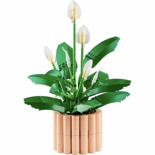 Peace Lily