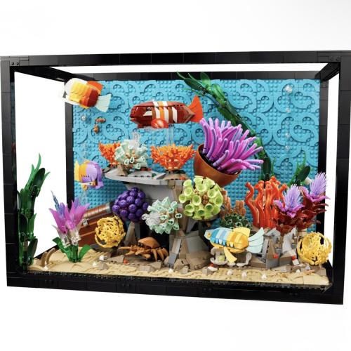 Tropical Aquarium