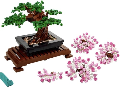 Bonsai Tree
