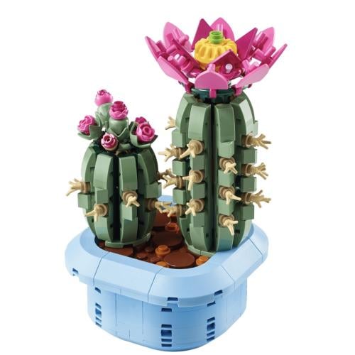 Flowering Cactus