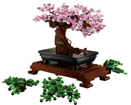 Bonsai Tree