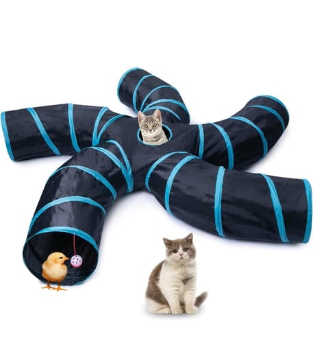 لعبة قطط نفق المتاهة العاب قطط وحيوانات اليفة - 5...