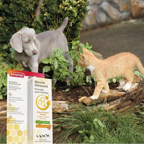 بيفار مرهم جروح الطيور - مرهم جروح القطط والحيوانا...
