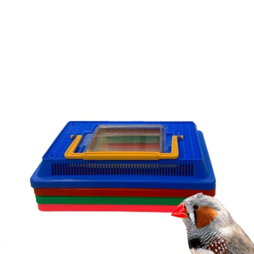 حوض بلاستك للطيور والاسماك والسلاحف الصغيرة - حجم...