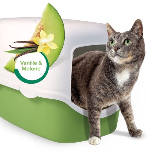 بيفار معطر الرمل برائحة الفانیلا والشمام 400غ Beap...