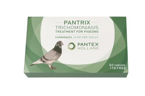 بانتريكس لعلاج التريكوموناس للحمام – PANTEX PANTRI...