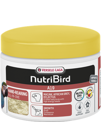 فيرسل لاقا سيريلاك طيور اي 19 VERSEL-LAGA NurtiBir...