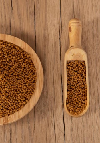 MINOR PSITTACUS سيتاكوس غذاء الروز والطيور المتوسط...