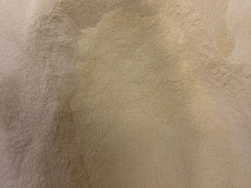 فيرسل لاقا سيريلاك طيور اي 21 VERSEL-LAGA NurtiBir...