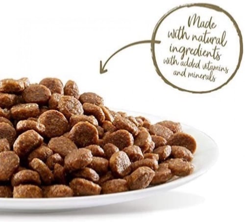 ابلاوز طعام جاف للقطط البالغة دجاج مع سالمون Appla...