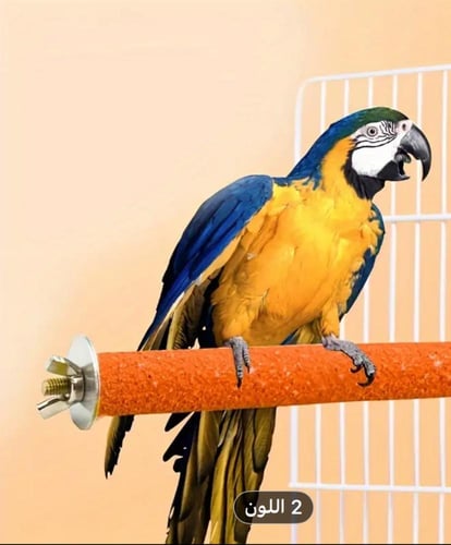 مجثم طيور مناسب للطيور المتوسطة والكبيرة 35 سم