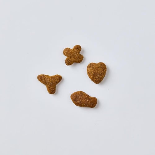 برامي مكافأة لجميع انواع القطط نكهة السالمون والتو...