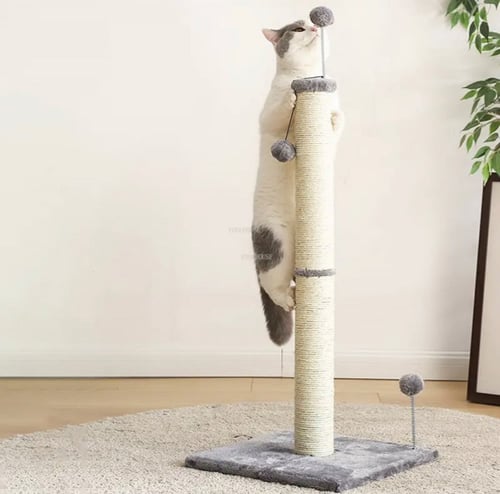 خداشات رمادية مودرن مع سنارة كرة الريش - PAWS Road...