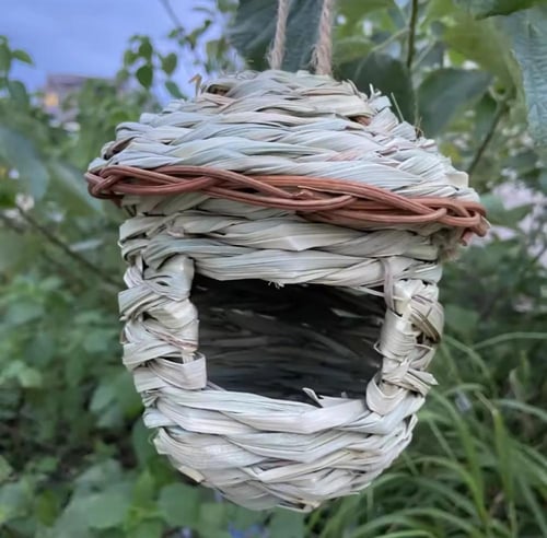 اعشاش وبيوت الزيبرا والعصافير الصغيرة