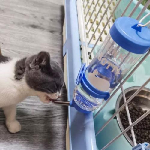 مشربية بالتنقيط - 250ml - ألوان متعددة