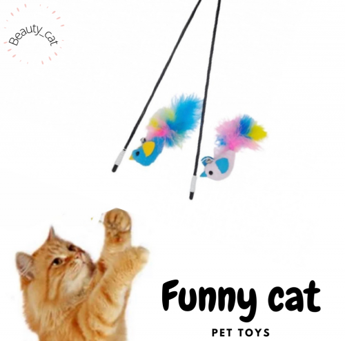 لعبة سنارة تفاعلية للقطط والحيوانات الاليفة على شك...