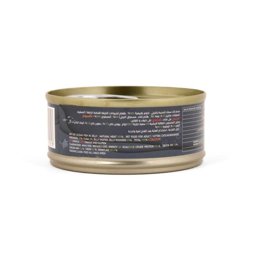 مستر كات سمك المحيط بالجيلي طعام القطط الصغيرة وال...