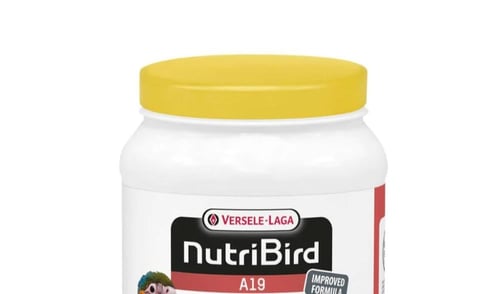 فيرسل لاقا سيريلاك طيور اي 19 VERSEL-LAGA NurtiBir...