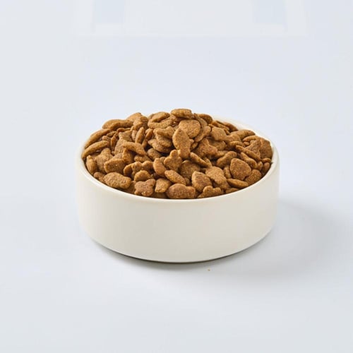 برامي مكافأة لجميع انواع القطط نكهة التونة والتوت...