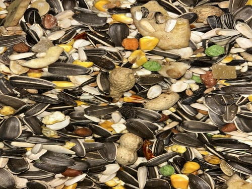 مشكل ببغاء مشكل الببغاوات الكبيرة من شركة قريزو ال...