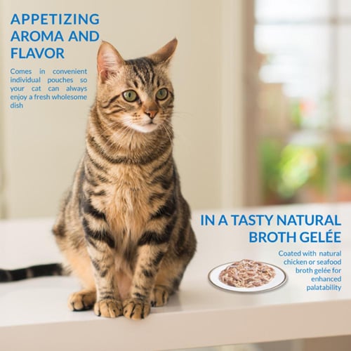 اينابا مكافئة قطط مزدوجة الدجاج في مرق الدجاج مكاف...